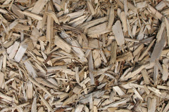 biomass boilers Levalsa Meor